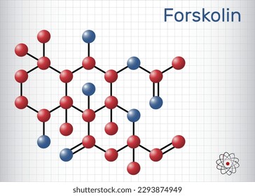 Forskolin, Coleonolmolekül. Es ist Anti-HIV-Wirkstoff, Labdane Diterpen, ist in der Indian Coleus Pflanze zu finden. Strukturelle chemische Formel, Molekül-Modell. Blatt Papier in einem Käfig. Vektorgrafik