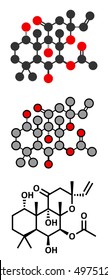 Forskolin (coleonol) molecule. Stylized 2D renderings and conventional skeletal formula. Activates the enzyme adenylyl cyclase, resulting in increased levels of cAMP.