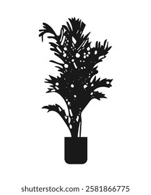 Forster's. A potted houseplant. Vector illustration. Silhouette of a plant