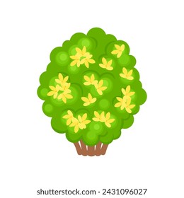 Forsythia blooming bush. Yellow spring flowers. Vector cartoon flat illustration.