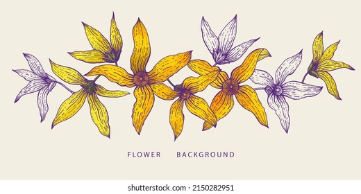 Forsythia branch. Golden Bell, blossoming flowers. Floral background in line art style. Hand drawn vintage vector illustration. Can be used for cards, invitations, banners.