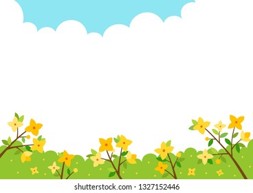 Forsythia flowers scenery.Spring background
