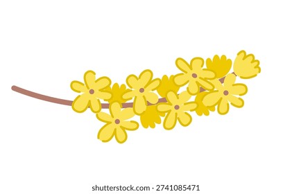 Forsythia spring vector illustration on white background. Yellow blossom branch in naive art style. 