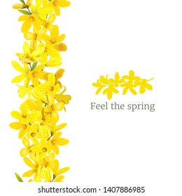 Forsythia suspensa frame left border. Card template. Feel the spring. blossoming yellow spring tree. Golden Bell, flowers boxing. Vector illustration. For prints, poster, flyer, flier, text copy space