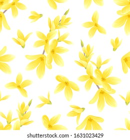 Forsythia yellow flowers on white background seamless pattern. Vector cartoon illustration. Golden-bell tree. Spring blooming.