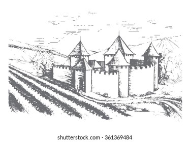 Fortress and vineyard. Vector.