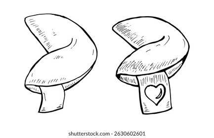 Biscoitos da sorte com papéis da fortuna e coração símbolo de amor vetor desenhado à mão