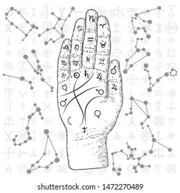 Fortune teller hand with Palmistry diagram hand drawn design. Vintage illustration for tattoo template. Palm reading magic spirituality zodiac constellations on sacred symbols background. Vector.