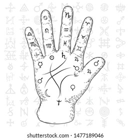 Fortune teller hand with Palmistry diagram hand drawn design. Vintage illustration for tattoo template. Palm reading magic spirituality zodiac constellations on sacred symbols background. Vector.