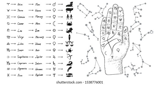 Fortune teller hand with Palmistry diagram and zodiac constellations. Magic alchemy spirituality symbol. Hand drawn sketchy palm reading with mystic and occult hand drawn esoteric symbols. Vector.