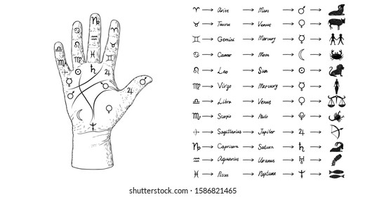 Fortune teller hand with Palmistry diagram and zodiac constellations. Magic alchemy spirituality symbol. Hand drawn sketchy palm reading with mystic and occult hand drawn esoteric symbols. Vector.