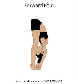 Forward fold pose yoga workout on the white background. Vector illustration
