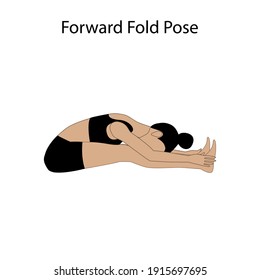 Forward Fold Pose Yoga Workout on the white background. Vector illustration
