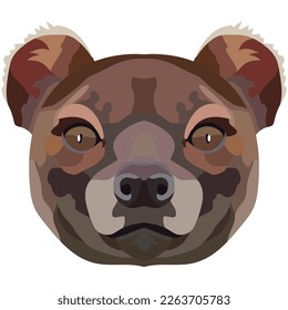 Foss face. An illustration of the Cryptoprocta muzzle is depicted. Bright portrait on a white background. Vector graphics. animal logo.