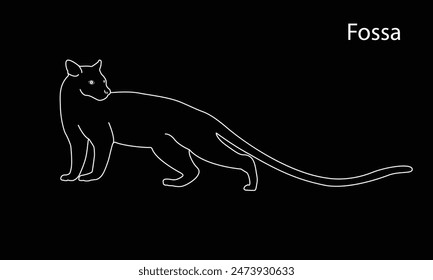 Fossa line silhouette. Madagascar wildlife fossa. top hunter, lemur hunter Lemur.vector illustration.