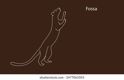 Fossa line silhouette. Madagascar wildlife fossa. top hunter, lemur hunter Lemur.vector illustration.