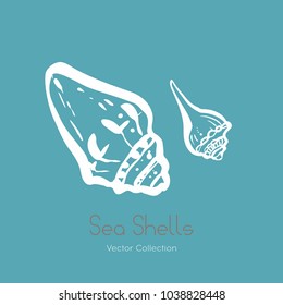 Fossil ammonite nautilus seashell vector logo set. Isolated vector of  seashells, ancient ammonite fossil logo, card. Hand drawn illustration spa salon, seafood cafe, restaurant, corporate identity.