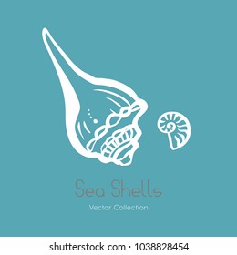 Fossil ammonite nautilus seashell vector logo set. Isolated vector of  seashells, ancient ammonite fossil logo, card. Hand drawn illustration spa salon, seafood cafe, restaurant, corporate identity.