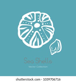 Fossil ammonite nautilus seashell vector logo set. Isolated vector of  seashells, ancient ammonite fossil logo, card. Hand drawn illustration spa salon, seafood cafe, restaurant, corporate identity.