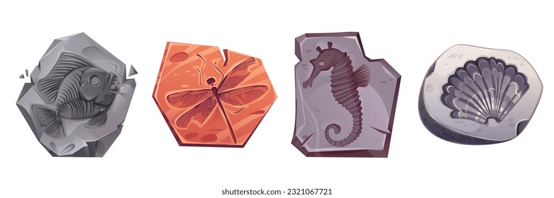 Juego de iconos de vectores de piedra de arqueología fósil. Textura de estampado de estampado de animales marinos y de libélulas antiguas, colección de ilustraciones de dibujos animados aislados. Clíparte de la silueta de impresión de insectos y conchas