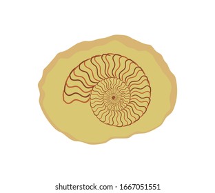 Fossil Archeology Traditional Doodle. Seashell nautilus fossil  Icon vector.