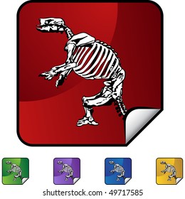 Fossil Bones