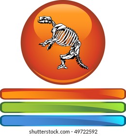 Fossil Bones