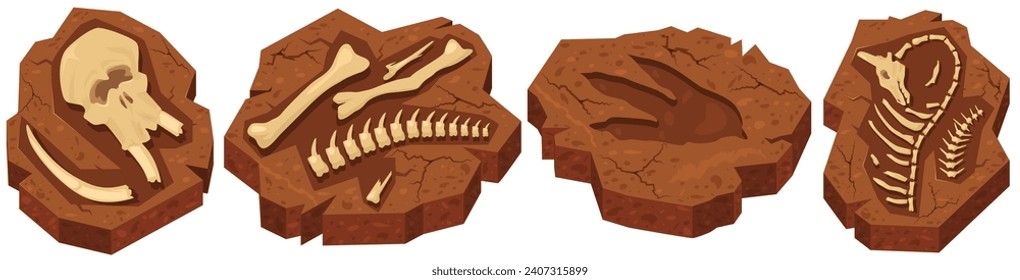 Fossil bones of dinosaur archaeological excavations in ammonite stone set. Studying and learning of ancient animals Jurassic period creature vector illustration