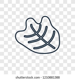 Fossil concept vector linear icon isolated on transparent background, Fossil concept transparency concept in outline style
