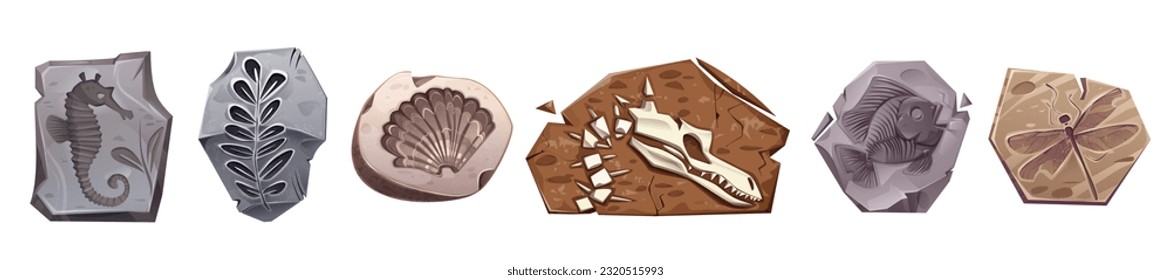 Fossil dinosaur archaeology stone vector icon set. Sea animal and ancient plant stamp texture drawing isolated cartoon illustration collection. Dig insect and shell impression silhouette clipart