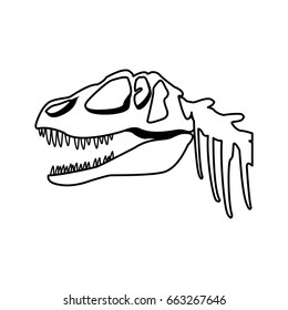 fossil dinosaur head skeleton lizard animal bone