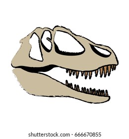 fossil dinosaur head skeleton lizard animal bone