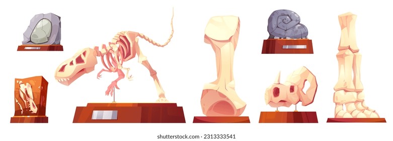 Fossile Dinosaurier im Museumskelett, Vektorskelett. Archäologische Ausstellung aus Dino-Stein mit einer Perletalsymbol für die Raumgestaltung. Tyrannosaurus rex und Tierskull verschiedene einzelne prähistorische Illustration.