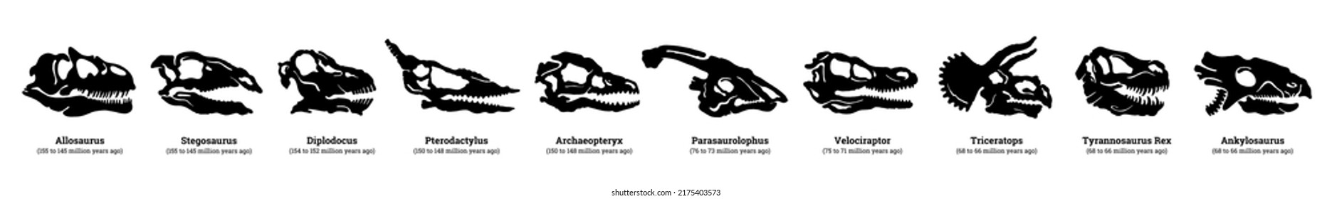 Fossil dinosaur silhouette. Dino skull with teeth. Nature graphic. Dead ancient predator. Dinosaur Diplodocus Velociraptor Pterodactyl Stegosaurus Triceratops Allosaurus Parasaurolophus Tyrannosaurus