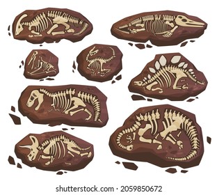 Fossil dinosaur skeletons set vector flat illustration. Collection paleontology historical finds stones with bones, skull of prehistoric reptiles isolated. Archeology Jurassic research ancient animals