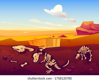 Trabajos de excavación de dinosaurios fósiles, paleontología y arqueología. Dibujo vectorial del paisaje desértico con esqueletos enterrados de reptiles prehistóricos subterráneos