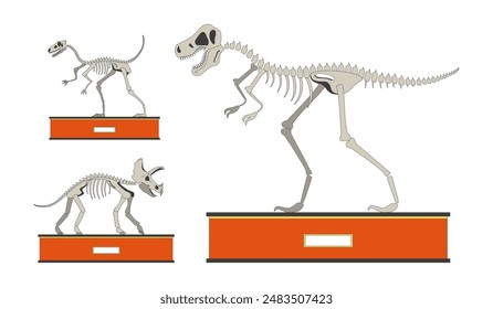 Conjunto de objetos de dibujos animados lineales 2D de la exposición de dinosaurios fósiles. Dino huesos esqueletos línea aislada Elementos de Vector fondo blanco. Museo de historia natural exhibe colección de ilustración de manchas planas de color