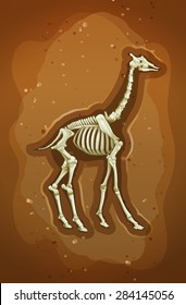 Fossil of extinct animal under the ground