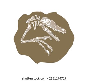 fossil icon vector, dinosaur fossils vector image
