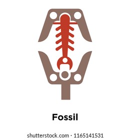 Fossil icon vector isolated on white background, Fossil transparent sign , historical stone age symbols