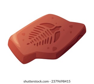 Fossil Imprint Obtained by Digging on Surface of Soil or Ground Vector Illustration