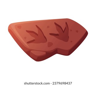 Fossil Imprint Obtained by Digging on Surface of Soil or Ground Vector Illustration