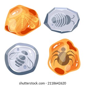 Insectos fósiles cubiertos en conjunto aislado de resina y piedra. Ilustración de diseño gráfico plano vectorial