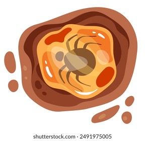 Insectos fósiles cubiertos de resina y conjunto aislado de piedra. Ilustración de elemento de Diseño gráfico plano de Vector