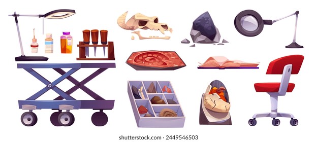 Fossil lab and paleontology cabinet elements. Cartoon vector archaeology scientist laboratory research tools and exhibits under study - dinosaur bones and footprints, magnifying glass and chemicals.