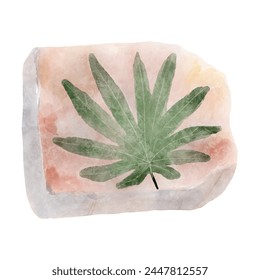 Fossil of plant in rock . Watercolor paint design . Vector .