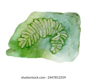 Fossil of plant in rock . Watercolor paint design . Vector .