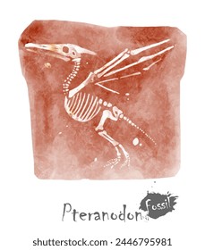 Fossil of Ptranodon dinosaur in rock . Watercolor paint design . Vector .