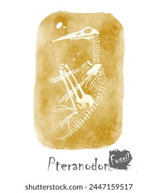 Fossil of Ptranodon dinosaur in rock . Watercolor paint design . Vector .