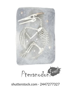 Fossil of Ptranodon dinosaur in rock . Watercolor paint design . Vector .